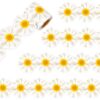 Whaline Spring Daisy Flower Bulletin Board Border 32.8 Ft 3D White Floral Die Cut Trim Border Roll for Spring Summer Classroom Back to School Chalkboard Decor