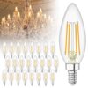 winshine 24 Pack E12 Candelabra LED Bulbs Dimmable 2700K Warm White 60W Equivalent,Energy Efficient 4W, Type B Light Bulb for Chandelier, C35 Ceiling Fan Light Bulb Clear Glass, 600LM