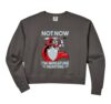 Womens Miniature Painting Artist Set Tools Miniature Painter Comfort Colors Crop Sweatshirt