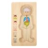 Wooden Human Body Structure Multilayer Brick Toy Colorful Educational Fun for Kids Age 3 Plus 29 * 16.7 * 2cm (Boy)