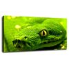 Wooden Jigsaw Puzzle, Green Anaconda Snake Pattern, 300 Pieces, Indoor Leisure, Wild Reptile Artwork