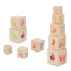 Wooden Life Cycle Nesting Blocks, Sorting & Stacking Montessori Toys for Kids, Preschool Educational Learning Cube Boxes for Toddlers 3+, Science Toy Set for Baby Boys & Girls (5 Pcs)