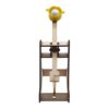 Wooden Rubber Band Powered Catapults Model Kits Engineering Science Project Toy for Creative Minds and Scientists Science Learning Toy
