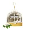 Worm Farm for Kids - Breathable Clear Small Animal Breeding Case,Pet Asseccary for Youth Backyard Camping Teens Classroom Nature Visits Girls Boys Outdoor Activities