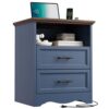 YANSNWO Blue Nightstand with Charging Station, Farmhouse End Table with 2 Drawers, Bedside Table with Space-Saving Storage Cabinet, Unique Base Design for Bedroom, Living Room