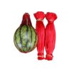 Yantbin Mesh Produce Bags 200pcs Garden Cucumbers Growing Storage Mesh Net Vegetable Bags Hanging Watermelon Grow Reusable Cantaloupes