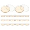 Yardenfun 30pcs Nutrient Agar Petri Plates for Laboratory Use, 2.8x0.4 Inch Sterile Plastic Agar Dishes, Compact and Convenient for Mushroom Testing and Student Science Project Preparation