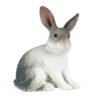 Yiju Figurine Realistic Bunny Animal Figure Model PVC Material Educational Toy Suitable for Children Collector Display, Style C