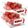 Youngever 2 Pack Stackable Plastic Storage Organizer Container Bin, Stackable Storage Bins with Handler for Refrigerator, Pantry (10" x 6" x 3")
