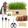 zeetmart Cat Grass Kit for Indoor Cats Non-GMO Wheatgrass Seeds Growing Set