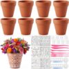 Zubebe 26 Pcs Ceramic to Paint Your Own Mexican Terracotta Pots Set 8 Cantaritos De Barro 8 White Clay 6 Mexicanos Talavera Stencil 2 Clay Tool Set 2 Paint Kit Halloween Day of the Dead Gift (Classic)