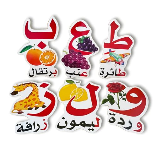 Zwtty Arabic Letters Flash Cards with Pictures & Words - Educational Learning Cards for Children - Teaching Supplies for Kindergarten Elementary Arabic Vocabulary Building - Visual Learning Tools
