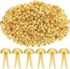 1000 Pcs Round Brass Brads Fasteners for Paper Crafts, Metal Scrapbooking DIY Supplies