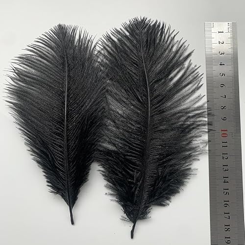 100 Pcs Feather Bulk, Natural Soft Black Feathers for Centerpieces, 6-8 in, 15-20 cm Craft Feathers with Firm Stem for Wedding Decor, Vase, Costume, Masquerade, DIY Arts and Party