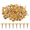 100pcs Head Iron Brads for School Projects, Mini Golden Fasteners