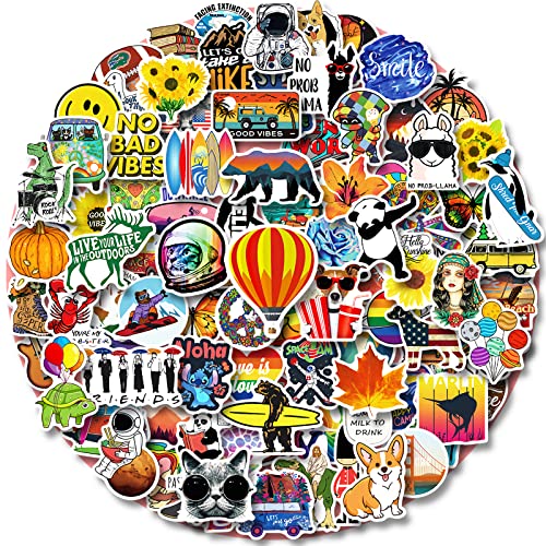 100 PCS Water Bottle Stickers for Kids Teens Girls Adults, Aesthetic Cute Vinyl Waterproof Vsco Cool Stickers, Laptop Scrapbook Skateboard Computer Car Sticker Packs