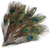 10 Pcs Natural Real Peacock Eye Tail Feathers for Wedding Party Home DIY