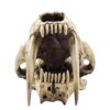 1:1 Life Size Animal Skull Replica Smilodon Sabertooth Tiger Skull Model