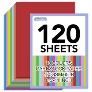 120 Sheets Colored Cardstock Paper 8.5 x 11, 10 Colors, 65 Lb