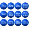 12pcs 1.57in Blue Foam Motivational Stress Balls with Inspirational Quotes