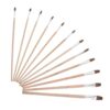 12pcs Water Color Brush Set for Beginners Flat Head Wood Handle