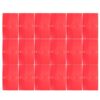 18pcs Foldable File Storage Folder with Double Pockets, Red Plastic