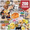 200 Pcs Funny Holographic Stickers, Cute Vinyl Decals for Teens & Adults