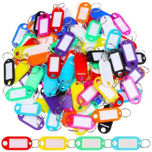 200pcs Reusable Pp Key Tags with Slide-Out Label for Organizing Keys