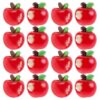 20pcs Realistic Fruit Thumb Tacks Decorative Push Pins for Corkboard
