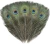 24 PCS Real Natural Peacock Eye Feathers 16-18 inch for DIY Craft, Wedding and Holiday Decorations