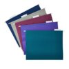 25 Pack Letter Size Hanging File Folders with 1/5-Cut Label Tabs & Inserts, Assorted Jewel Tones Color Coded Office Document Organizer, Fit 8.5x11 Inch Standard Paper for Home Business Drawer Storage