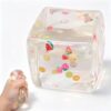 2 Pack Ice Cube Cube Fidget Toys - Sensory Toys with Sea Fruit，Squishy Toy