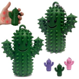 2 Pack Spiky Cactus Fidget, Silicone Sensory Stress Relief Keychain