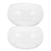 2pcs Glass Fish Bowl 20cm Round Desktop Planter for Plants and Fish