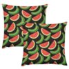 2Pcs Red Watermelon Green Throw Pillows Decorative Pillow Covers 18X18 in