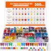 300Pcs Car Fuse Assortment Kit, Micro Mini Standard Blade Fuses