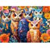 300 Pieces Puzzle for Adults | Colorful Owls Large Piece Puzzle | Recycled Cardboard Jigsaw Puzzles 300 Pieces | Challenging Game Home Decor Birthday Party Gift Toy for Adults Kids Seniors 20.5*15 in