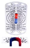 3D Magnetic Field Line Demonstrator,Physics Experimental Equipment