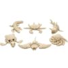 3D Printed Articulated Marine Skeleton Models, Sea Creature Figures
