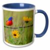 3dRose USA, Texas, Cameron County. Painted bunting 15oz Two-Tone Blue Mug
