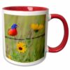 3dRose USA, Texas, Cameron County. Painted bunting 15oz Two-Tone Red Mug