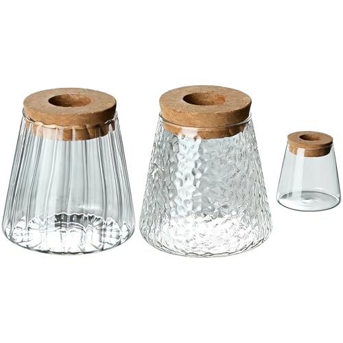 3 Pcs Glass Plant Propagation Station Kit, Volcanic Shaped 3.74 x 3.74 in Plant Terrarium Glass Planter with Cork Lid, Clear Borosilicate Glass Vases for Plants, Home Decor, Office Desks