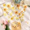 40Pcs Natural Flower Stickers, PET Floral for Scrapbooking Journaling