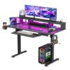 48" x 24" Electric Gaming Standing Desk with LED Lights, Height Adjustable