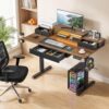 48"x24" Electric Gaming Standing Desk with LED Lights, Height Adjustable