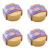 4 Pack Bun Dumplin Squishies Stress Balls with Steamer Box