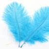 50PCS Teal Ostrich Feathers Bulk, 6-7.8 Inches