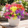 BAKKIET Artificial Flowers 12 Bundles