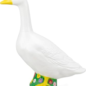 Hofriyo Porch Goose
