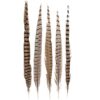 5 Pcs Pheasant Feathers, 16-18 in Natural Male Pheasant Tails Feathers with Unique Striped Patterns for DIY Crafts, Carnival Masks, Wedding Party, and Home Festival Table Decoration